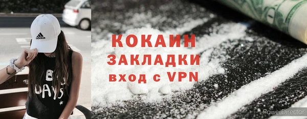 спиды Ладушкин
