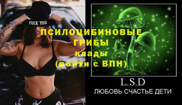 спиды Ладушкин