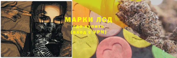 спиды Ладушкин
