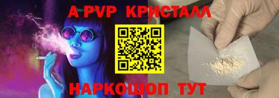 шишки Новокубанск