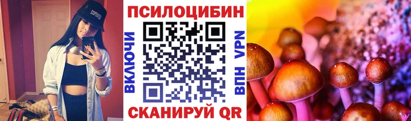 Галлюциногенные грибы мицелий  Мончегорск 