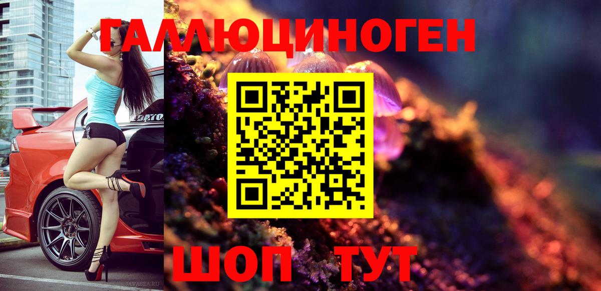 Галлюциногенные грибы Psilocybe  Вход с VPN  Мончегорск 