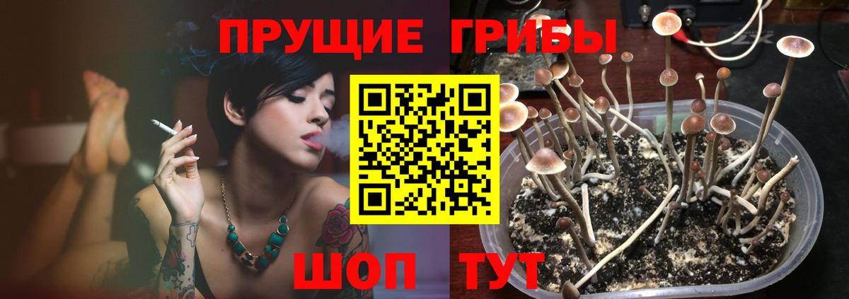 Конопля Мончегорск
